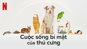 Phim Cuộc sống bí mật của thú cưng - The Hidden Lives of Pets (2022)