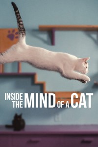 Phim Những chú mèo nghĩ gì - Inside the Mind of a Cat (2022)