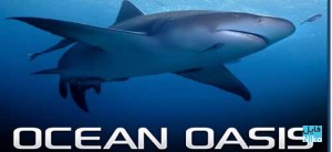 Phim Ốc Đảo Của Đại Dương - Ocean Oasis (2000)