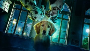 Phim Phantom Pups (Phần 1) - Phantom Pups (Season 1) (2022)