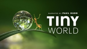 Phim Thế Giới Siêu Nhỏ (Phần 1) - Tiny World (Season 1) (2020)